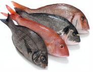 ecommerce pesce fresco