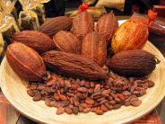 lavorazione del cacao